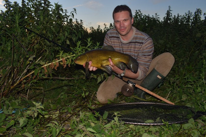 Marsh Tench at Dusk