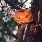 Picture Roll- Winter 2018-2019