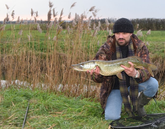 Pike on the northern levels