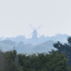 Lonely Windmills and Wild Carp